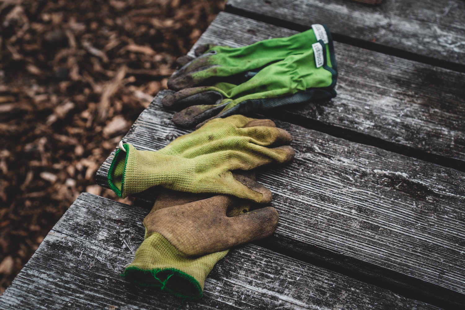 jonathan-kemper-kYl3Yp2hwtQ-unsplash Example of an English Garden