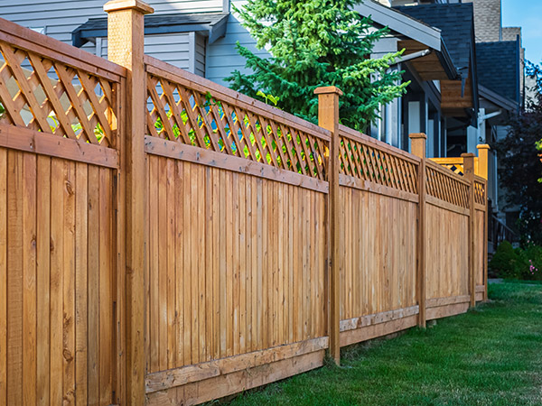 cedar-fence